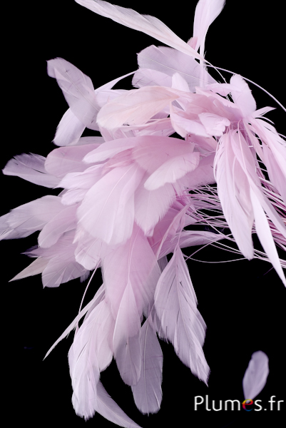 Coquetips - 13-18 cm - rose tendre